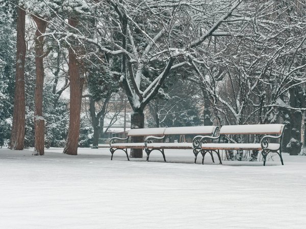 Are There New Trends in UK Health and Wellness Practices?